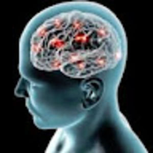 Meet your Posher, Konesans